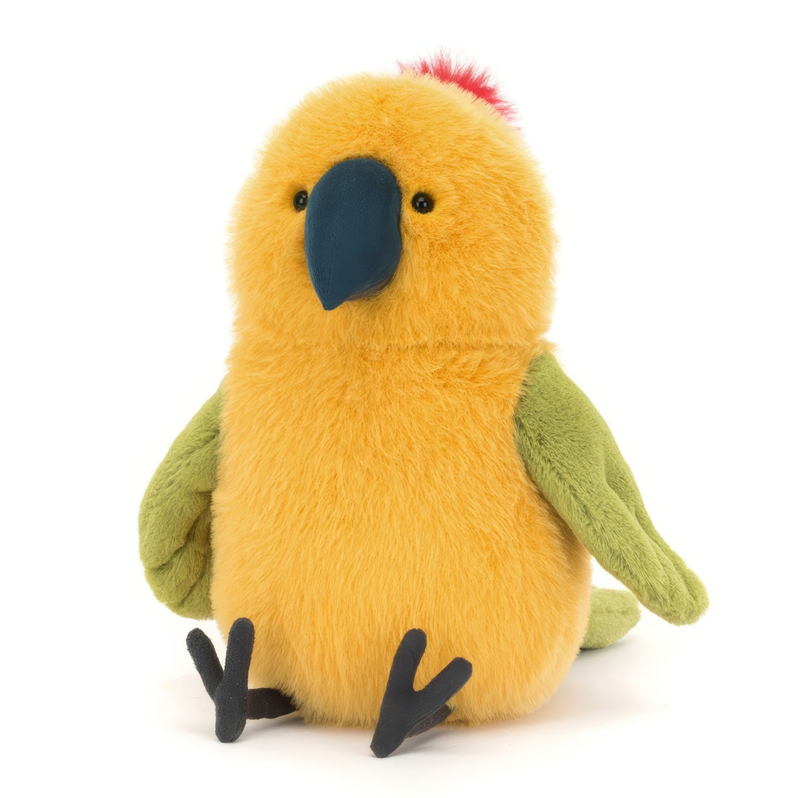 Budgeby-Parrot_