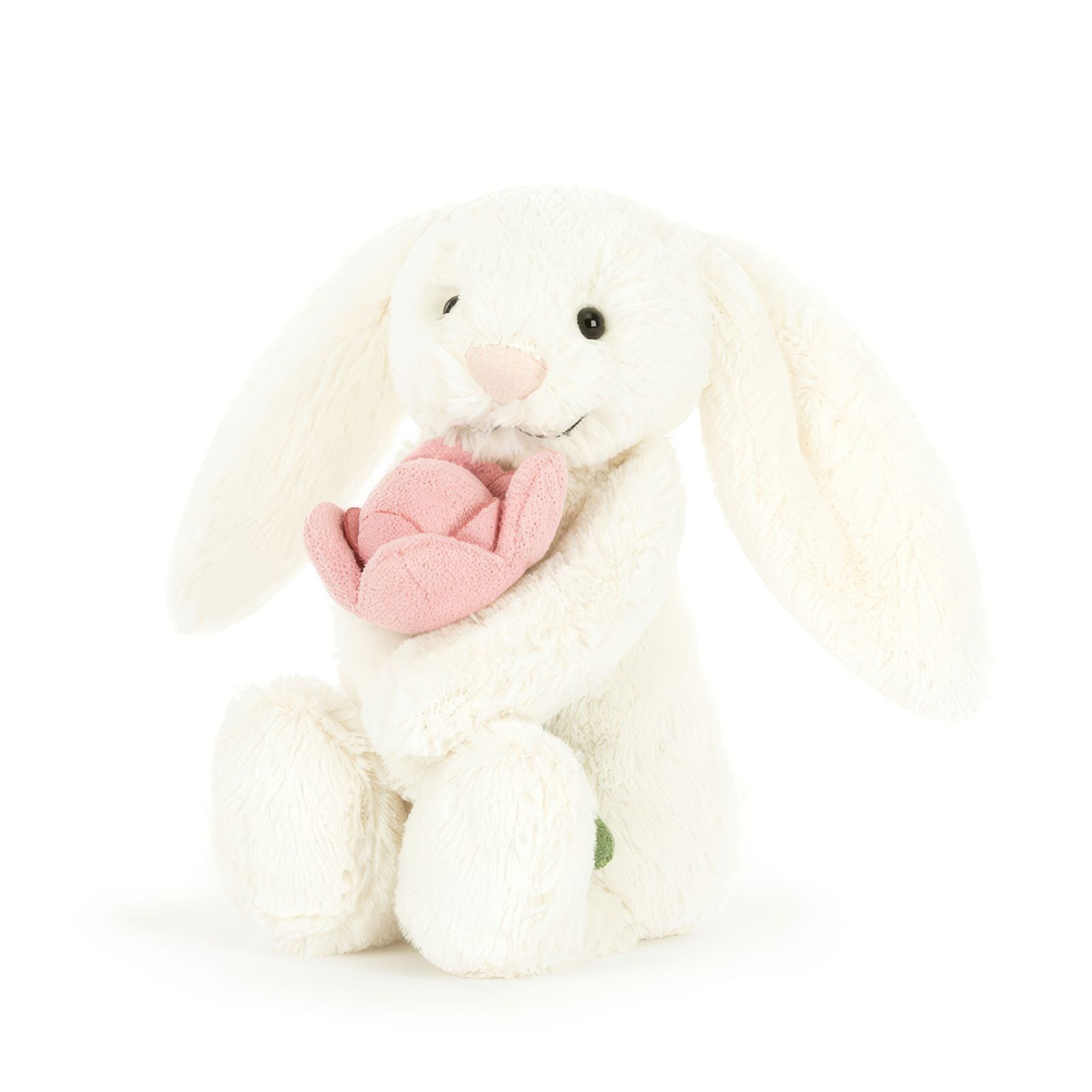 Bashful-Bunny-Peony
