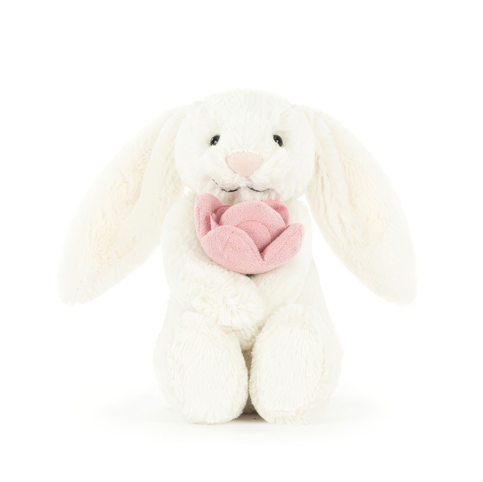Bashful-Bunny-Peony
