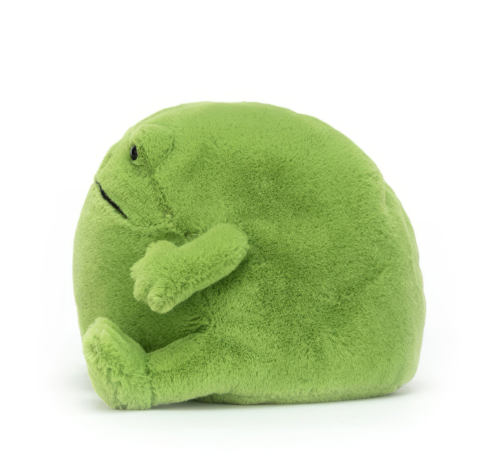 Ricky-Rain-Frog